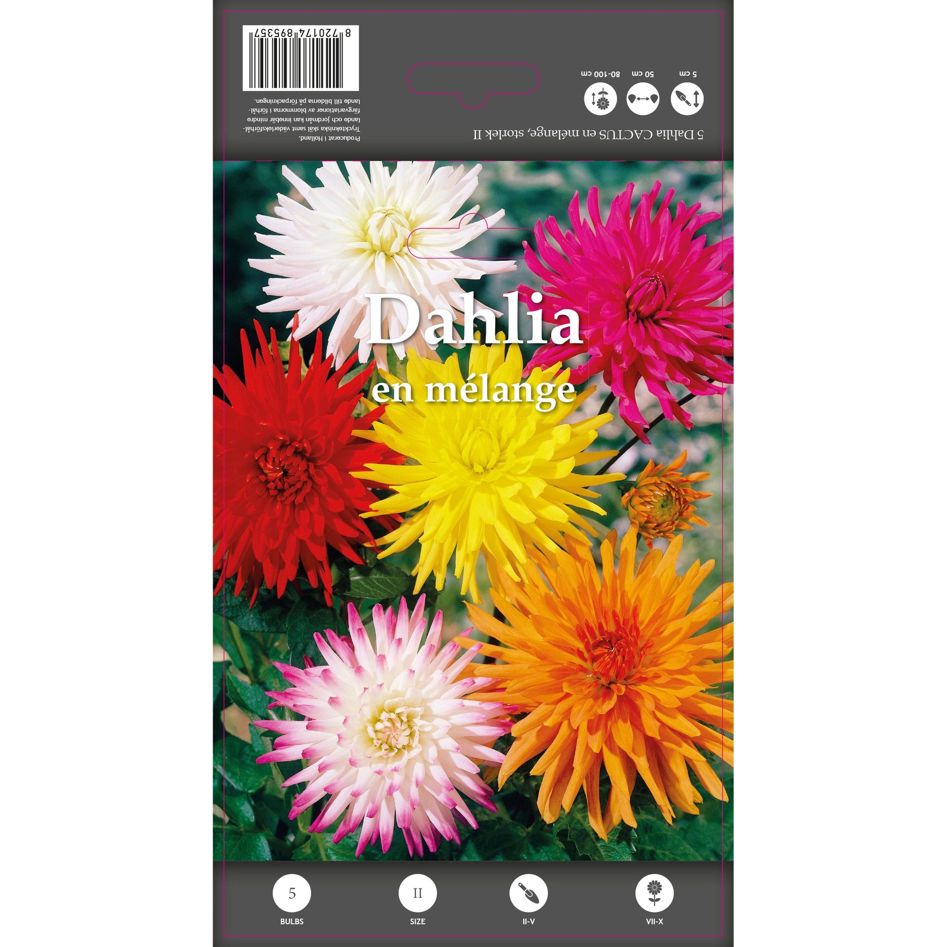 POS000_optimized_6985cd6ad3d69_2026-02-06_11-15-54.jpg