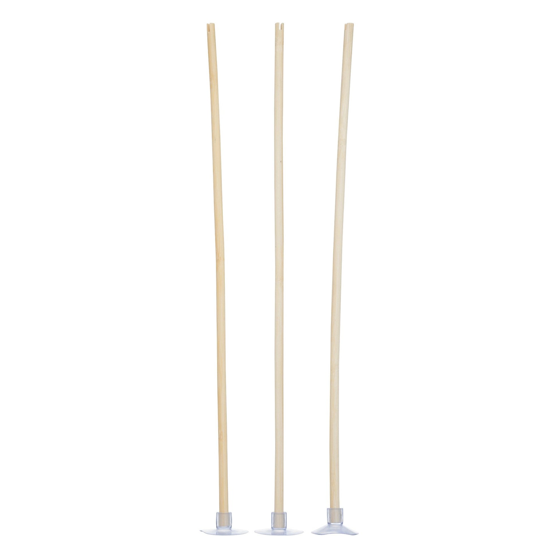POS001_optimized_69d930f109db2_2026-04-10_17-18-41.jpg